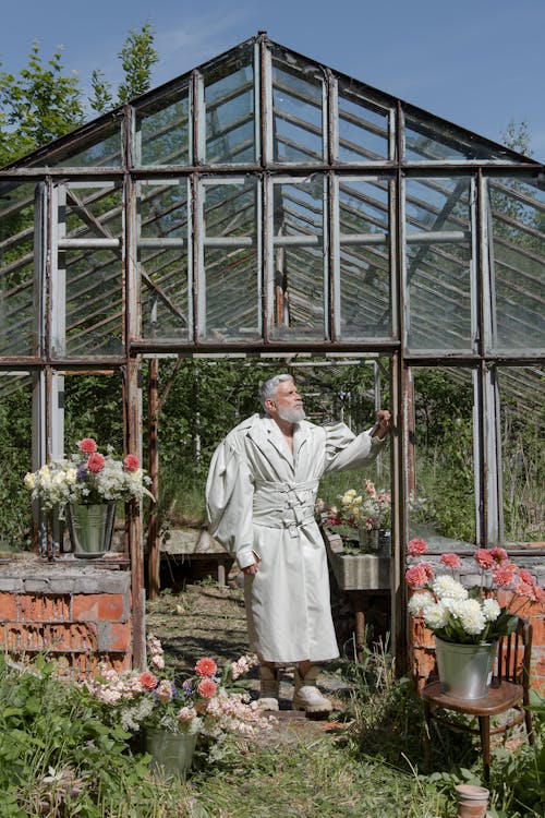 Kostnadsfri bild av äldre, anläggning, blommor