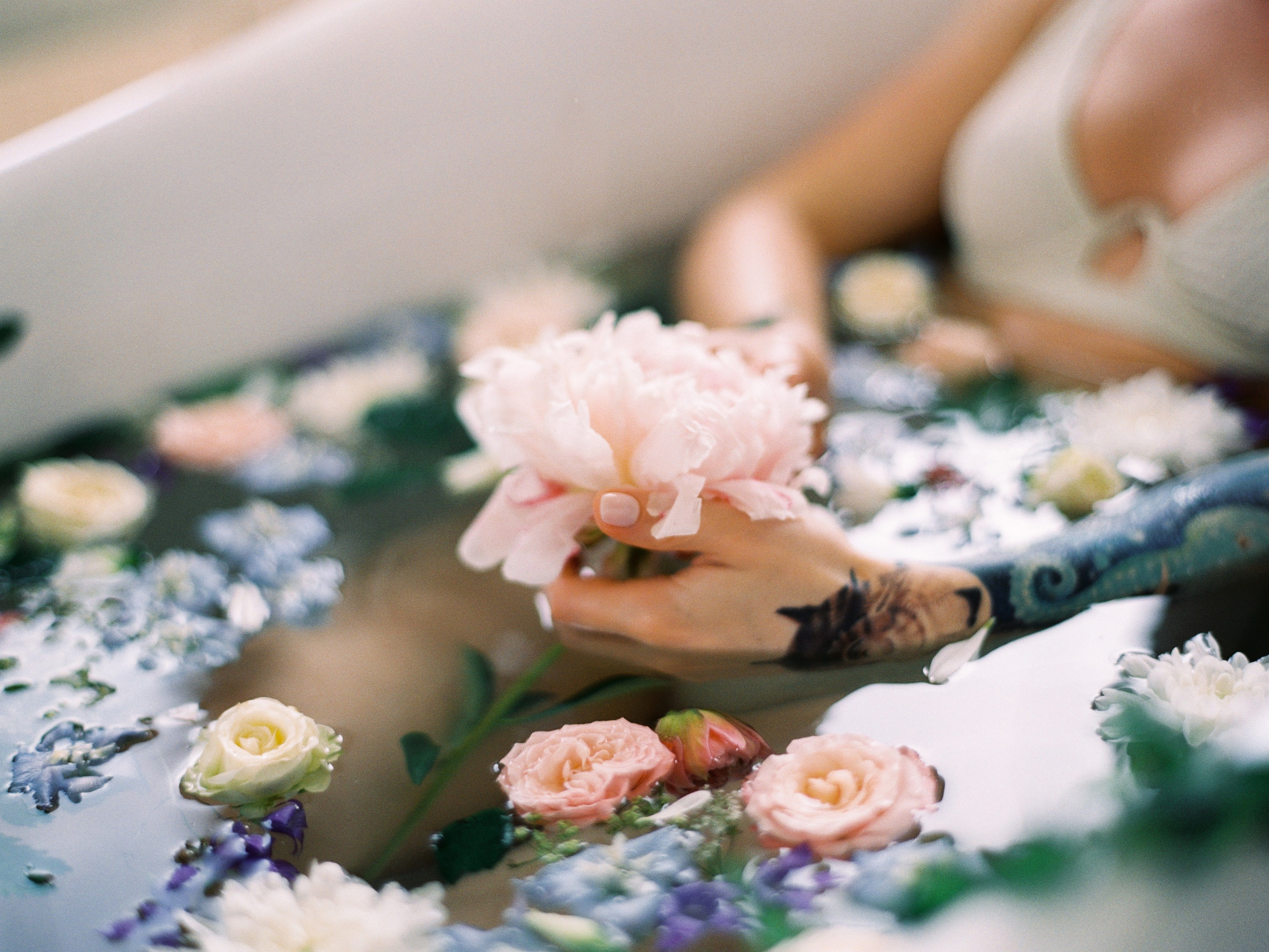 A Person Dipped in Water Holding a Pink Flower · Free Stock Photo