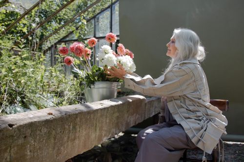 Free A senior woman with gray hair arranges flowers in a sunny greenhouse setting. Stock Photo