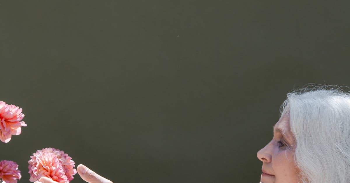 How long to steam tamales in instant pot