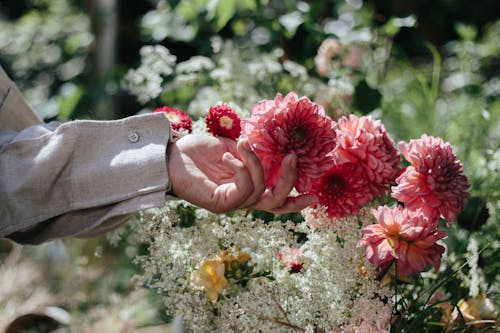 Gratis arkivbilde med berøre, blomst, blomster