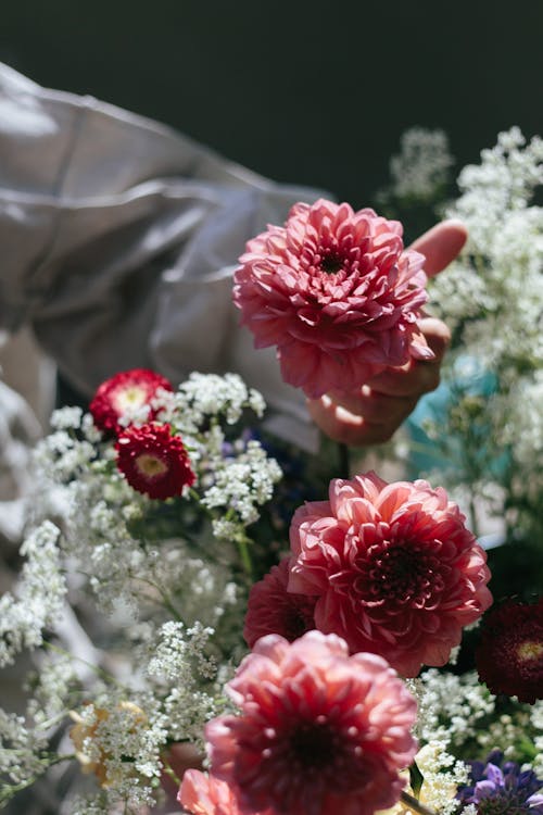 Gratis arkivbilde med berøre, blomst, blomster