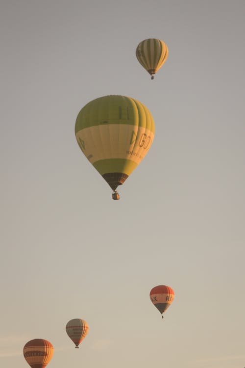 Foto profissional grátis de balões, céu, céu limpo