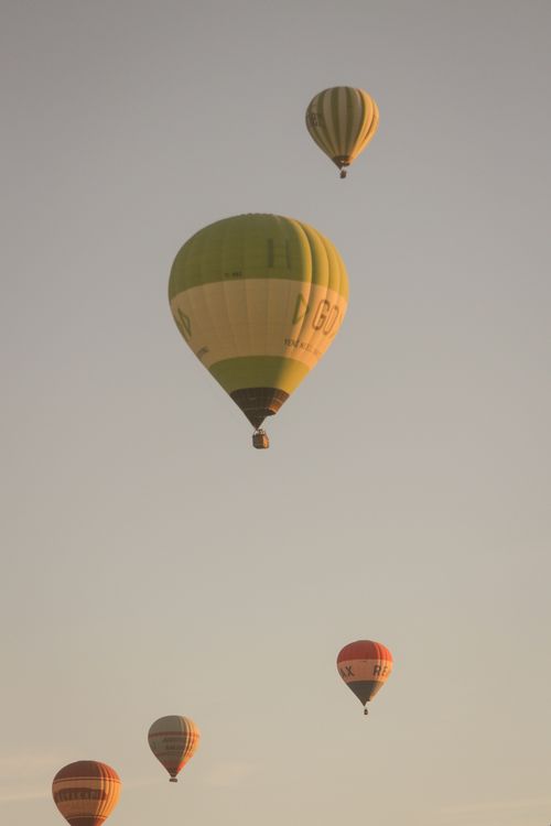 Free A serene view of colorful hot air balloons ascending in the clear morning sky. Stock Photo