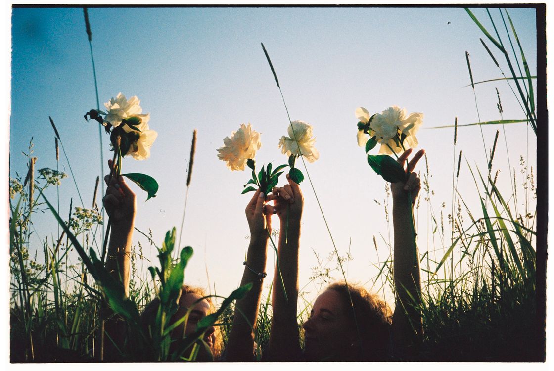 Photograph of Girls Holding Flowers High in Hands · Free Stock Photo