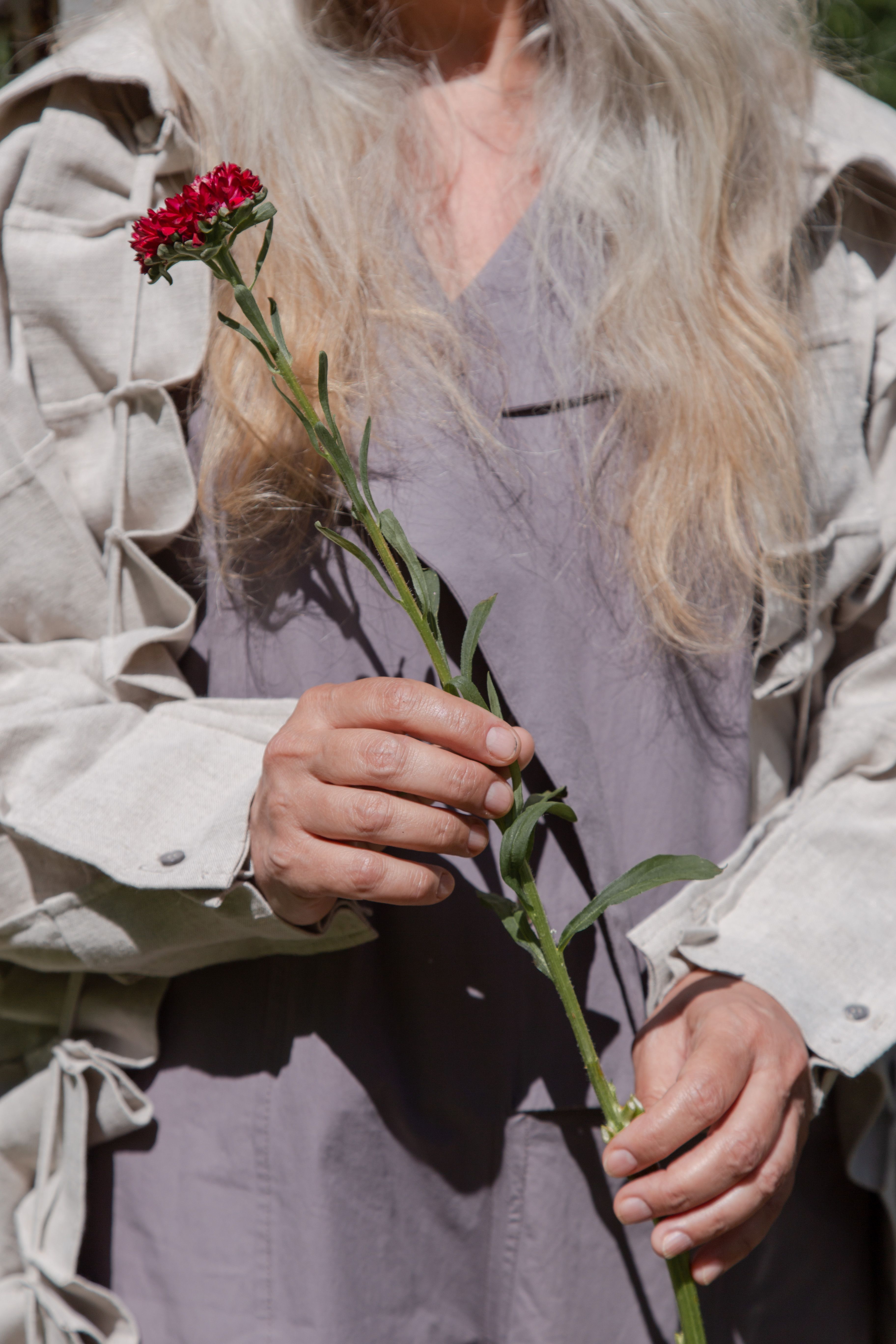 Close-up of a woman holding a red flower stem, highlighting nature's beauty.