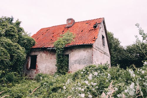 Free Бесплатное стоковое фото с дом, заброшенный, черепичная крыша Stock Photo