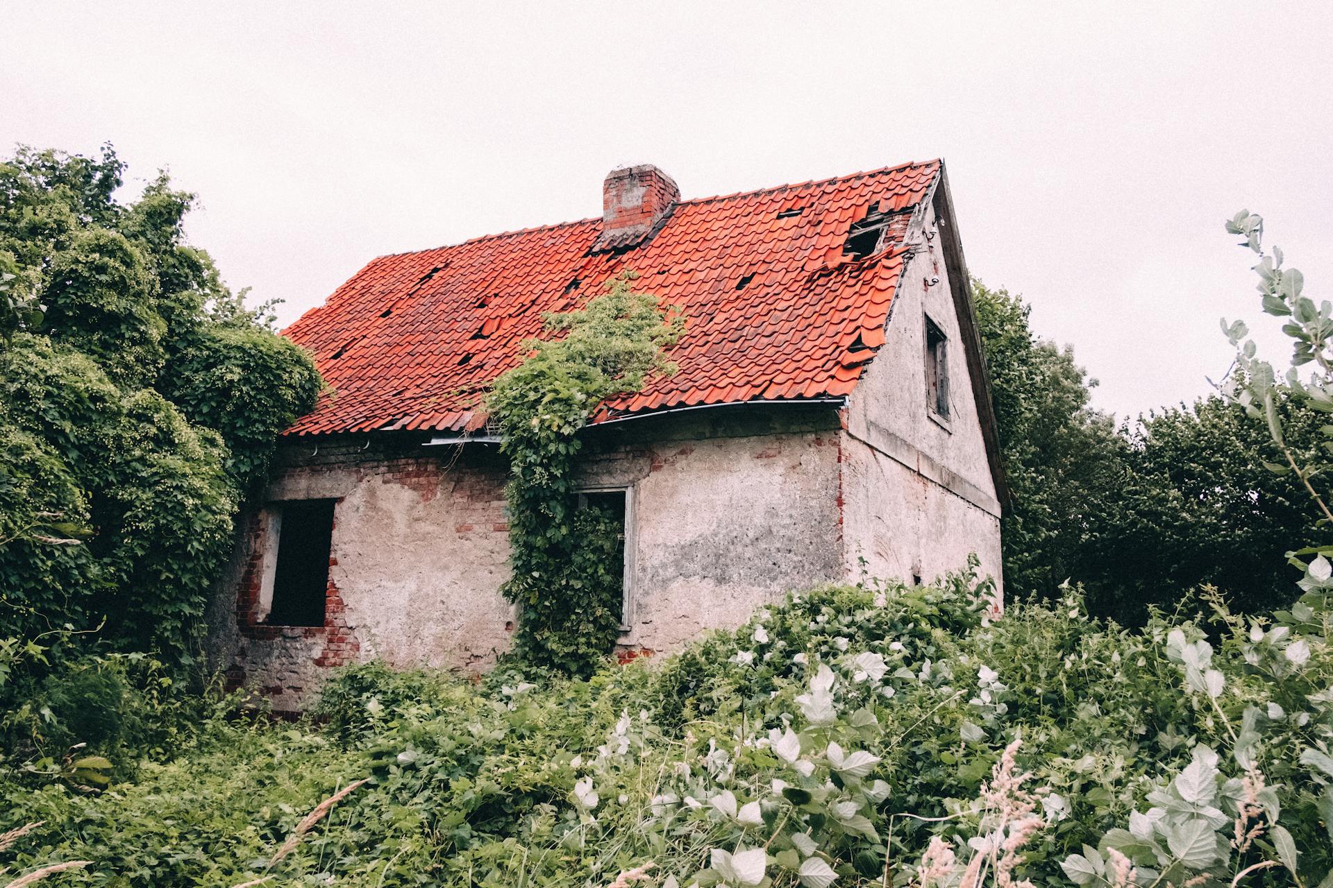 A derelict house with a damaged tile roof surrounded by dense greenery in Warsaw, Poland.