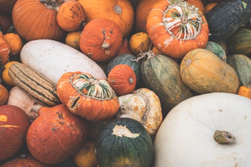 A Pile of Orange, Green and White Pumpkins
