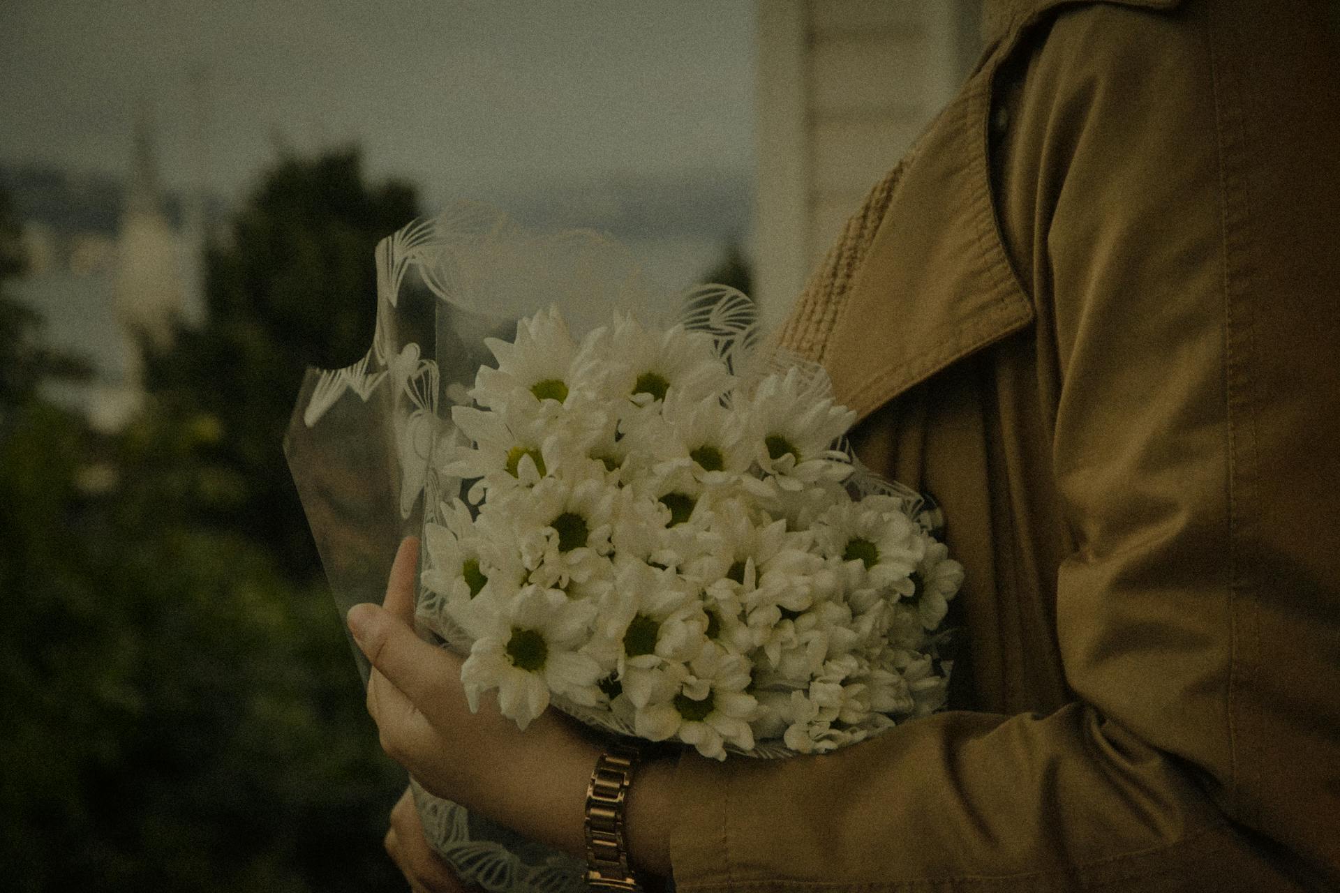 A person holds a delicate bouquet of white daisies wrapped in clear plastic, set against a scenic outdoor backdrop.