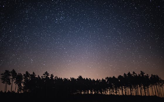 A mesmerizing starry night sky above the silhouette of a forest in Pomeranian Voivodeship, Poland.