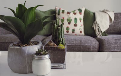 Sustainable home decor