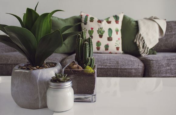 Shelf styling with plants and pots