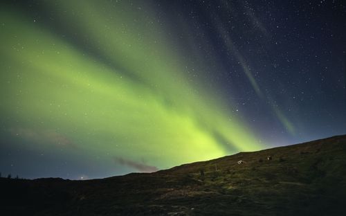 Free Vivid Northern Lights illuminate the night sky over the serene hills of Akureyri, Iceland. Stock Photo