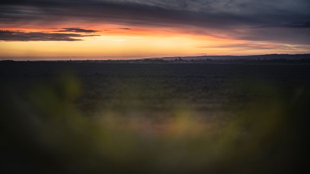 Captivating sunset view over a tranquil meadow in Poland, highlighting nature's colors and tranquility.