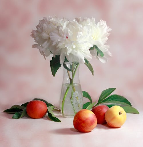 투명 유리 꽃병에 흰색 클러스터 꽃의 선택적 초점 사진