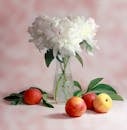 Selective Focus Photography of White Cluster Flower in Clear Glass Vase
