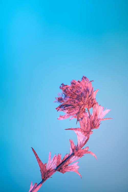 Kostenloses Stock Foto zu abbildung, abstrakt, blauem hintergrund