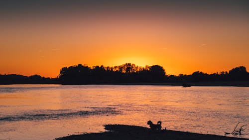 Безкоштовне стокове фото на тему «берег річки, вечірнє небо, гарний захід сонця»