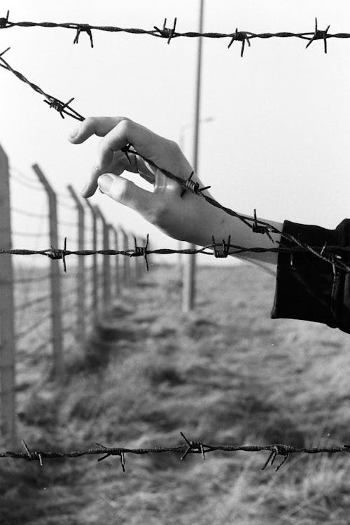 Hand on Barbed Wire 