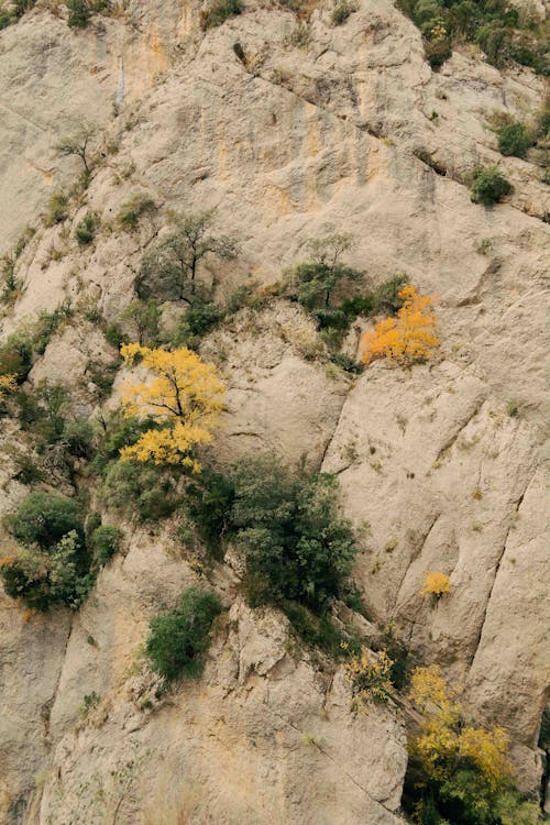 垂直拍摄, 山, 岩山 的 免费素材图片