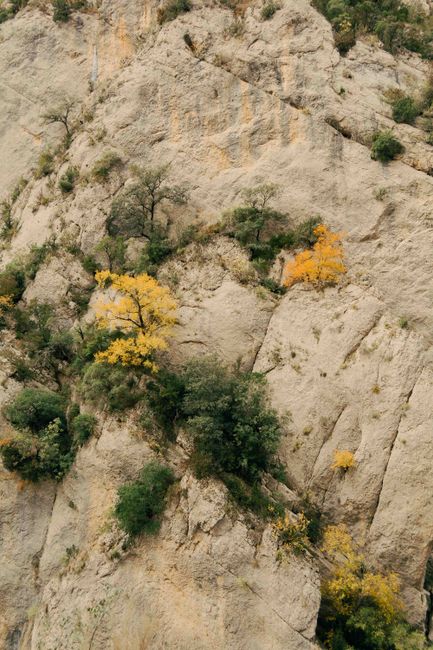 Aerial view of vibrant autumn trees on a rugged rocky cliff in Spain, showcasing natural beauty.