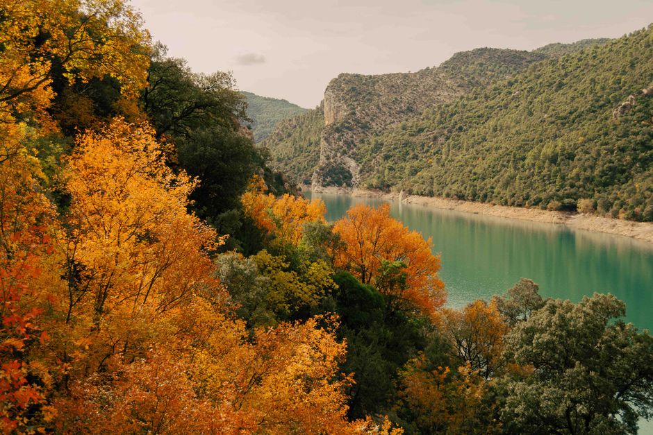 ¿Te imaginas un hotel con desayuno y acceso a lago termal natural? Descubre la escapada relajante a Alhama de Aragón
