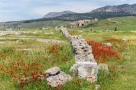 晴朗的天空下，田野、罂粟和古老的废墟相映成趣
