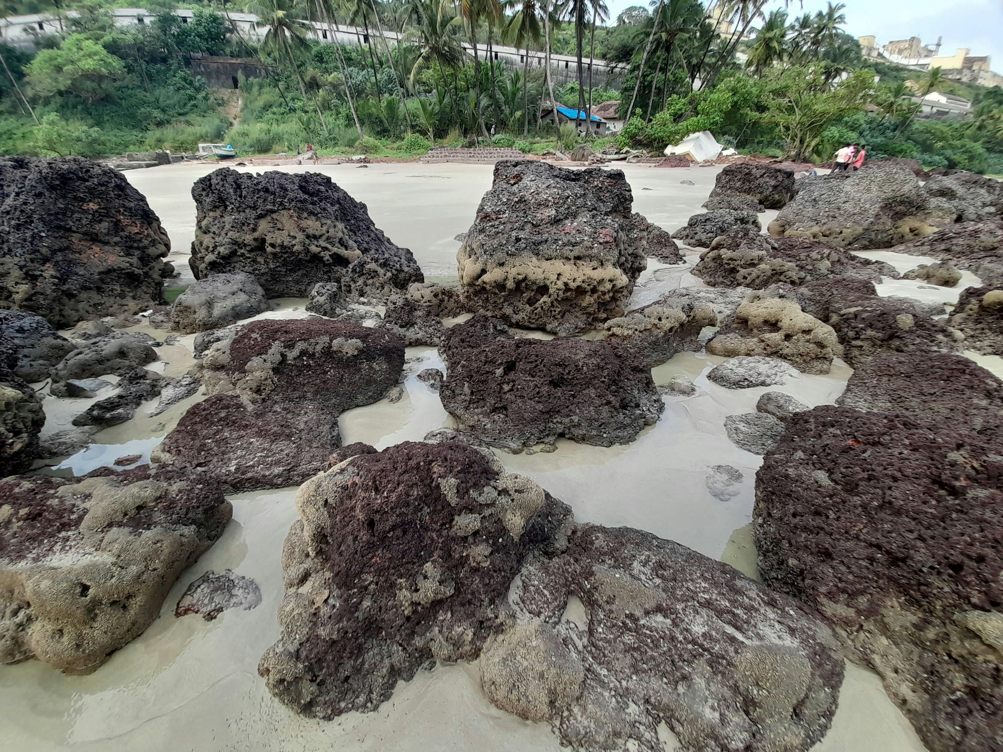 Barber giving a clean haircut