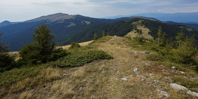 Commercial vehicle work lights in action