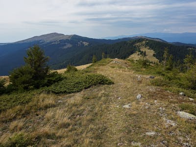 Professional LED work lights for commercial vehicles