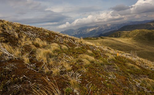 Landscape Photography of Steppe and Mountain Ranges