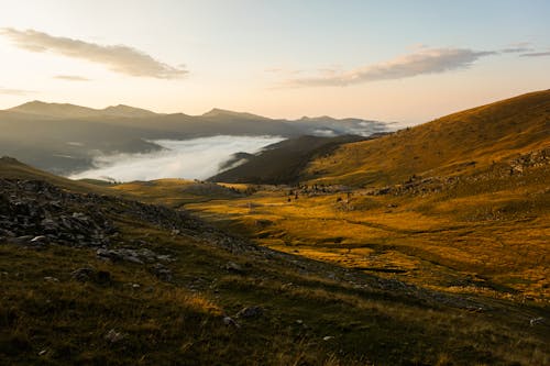 Foto d'estoc gratuïta de a l'aire lliure, alba, llum del dia