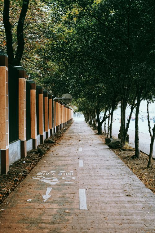 Free A tranquil bike lane surrounded by trees and a fence, perfect for a peaceful ride. Stock Photo