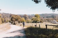 Free stock photo of agricultural, agriculture, agronomist