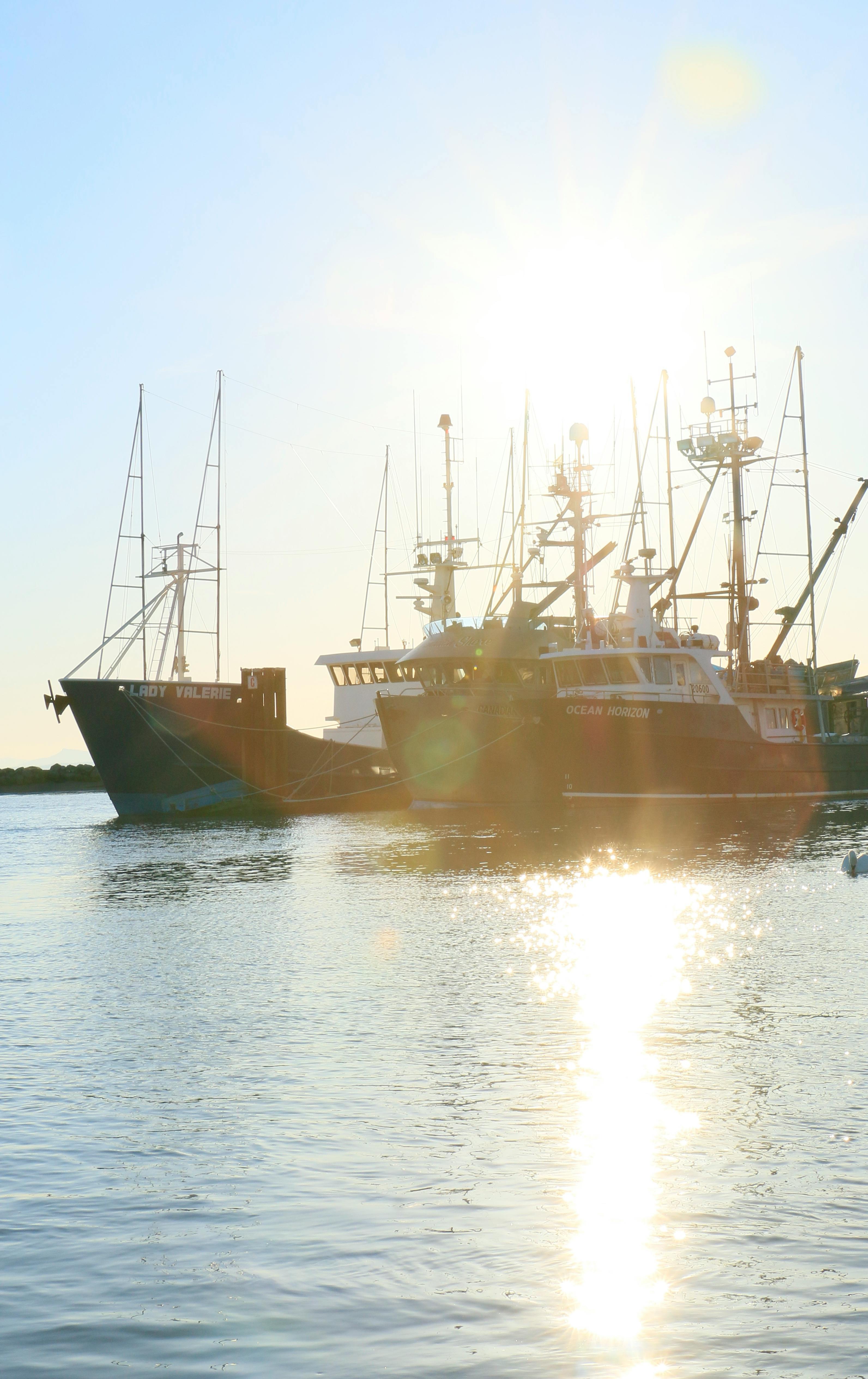 Free stock photo of fishing boats ocean sun inlets ocean scene