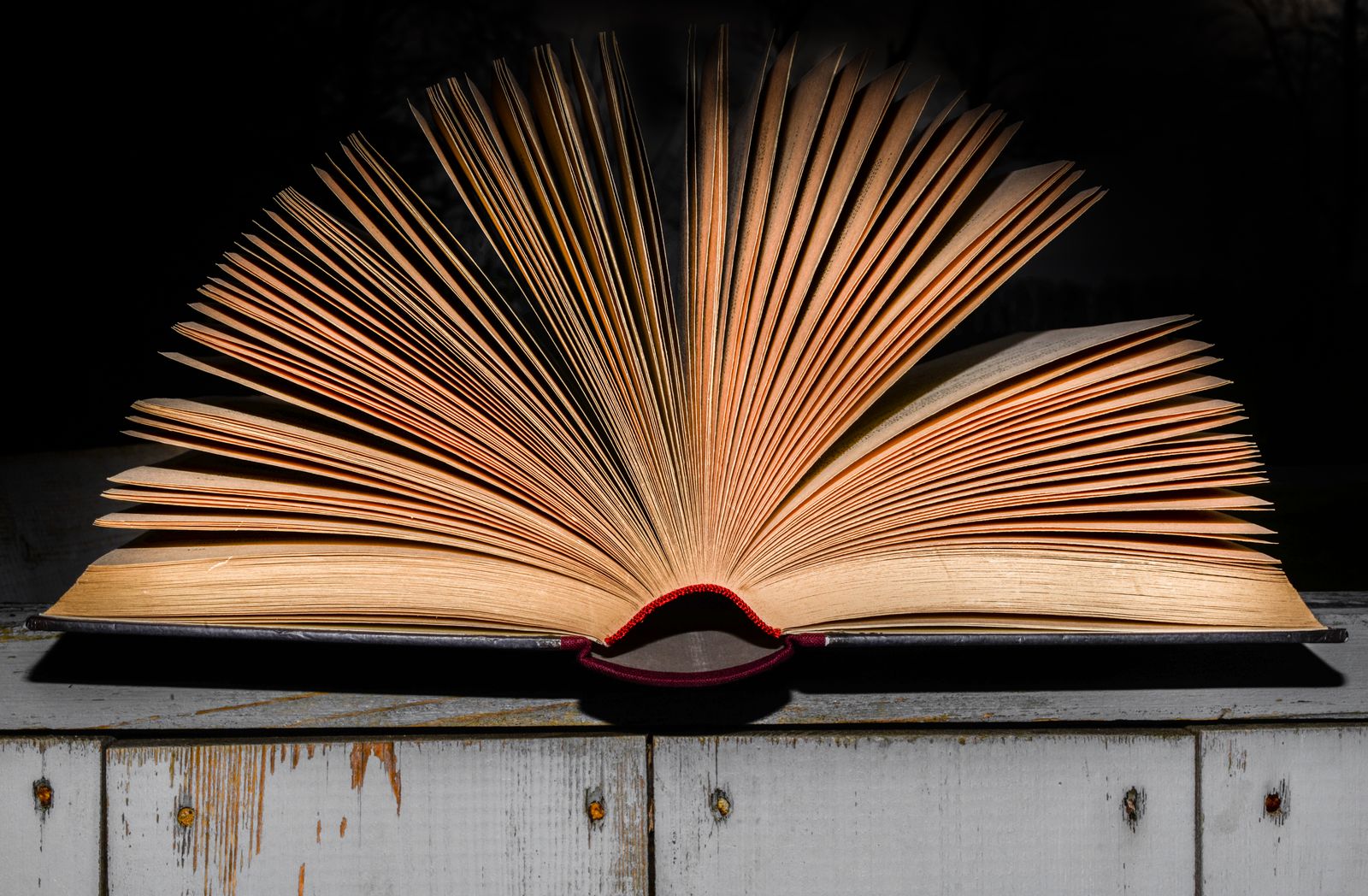 Photography of Book Page · Free Stock Photo