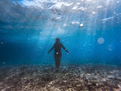 Безкоштовне стокове фото на тему «глибоке занурення, Дайвінг, підводна фотографія»