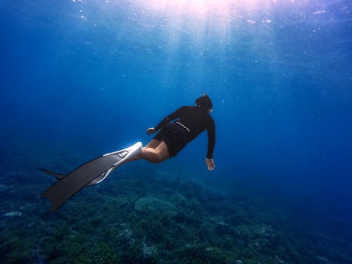 Free stock photo of deep blue, deep diving, diving Stock Photo