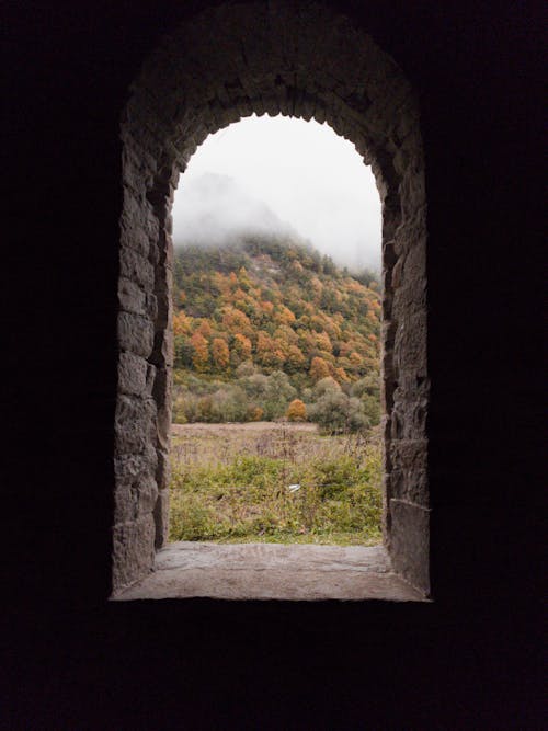 Arched Window with View on Forest 