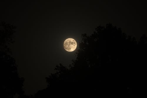 Kostnadsfri bild av fullmåne, himmel, mörk