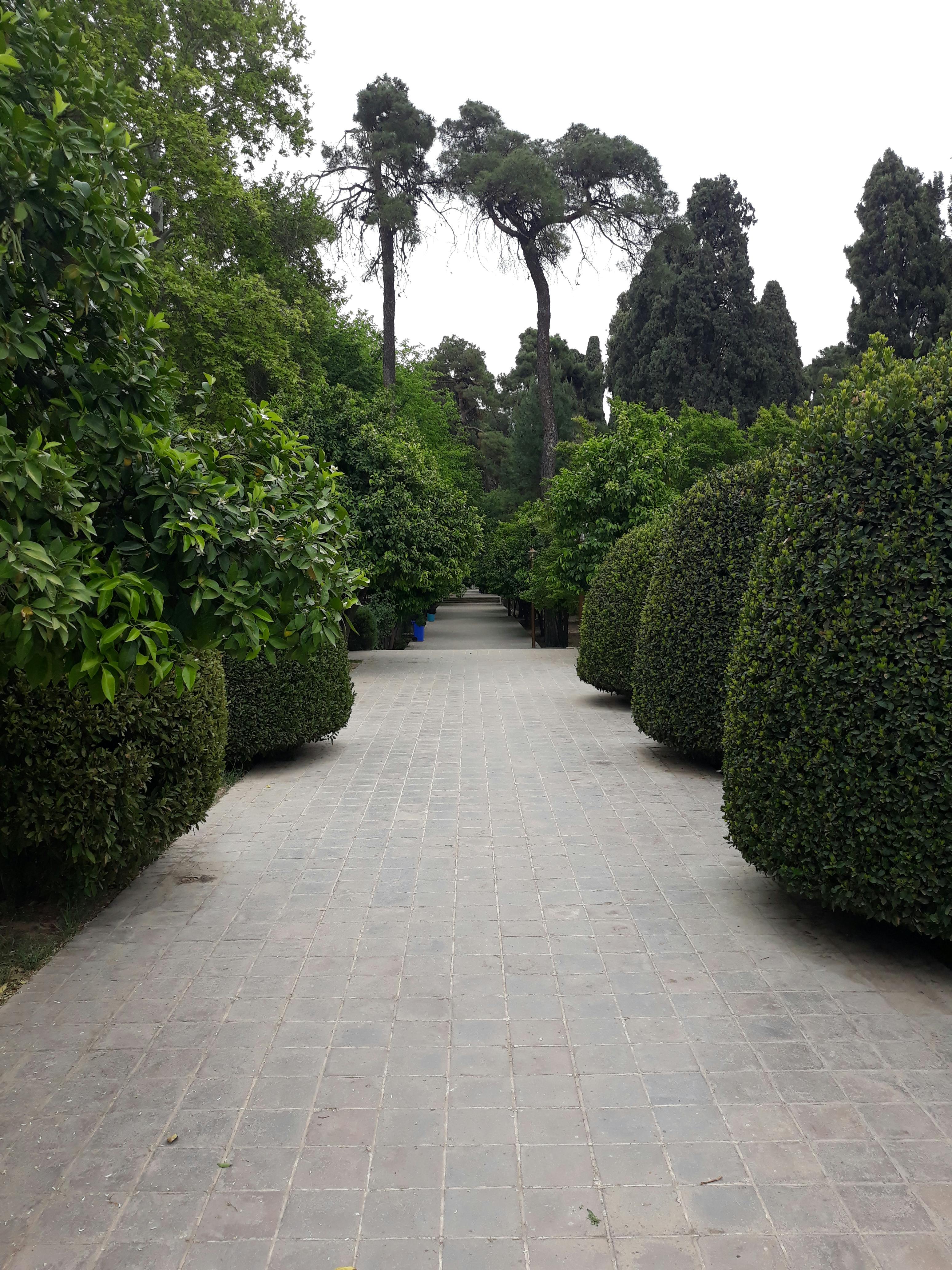 FanFlow Review Guide - Compact Fan Analysis Catalog