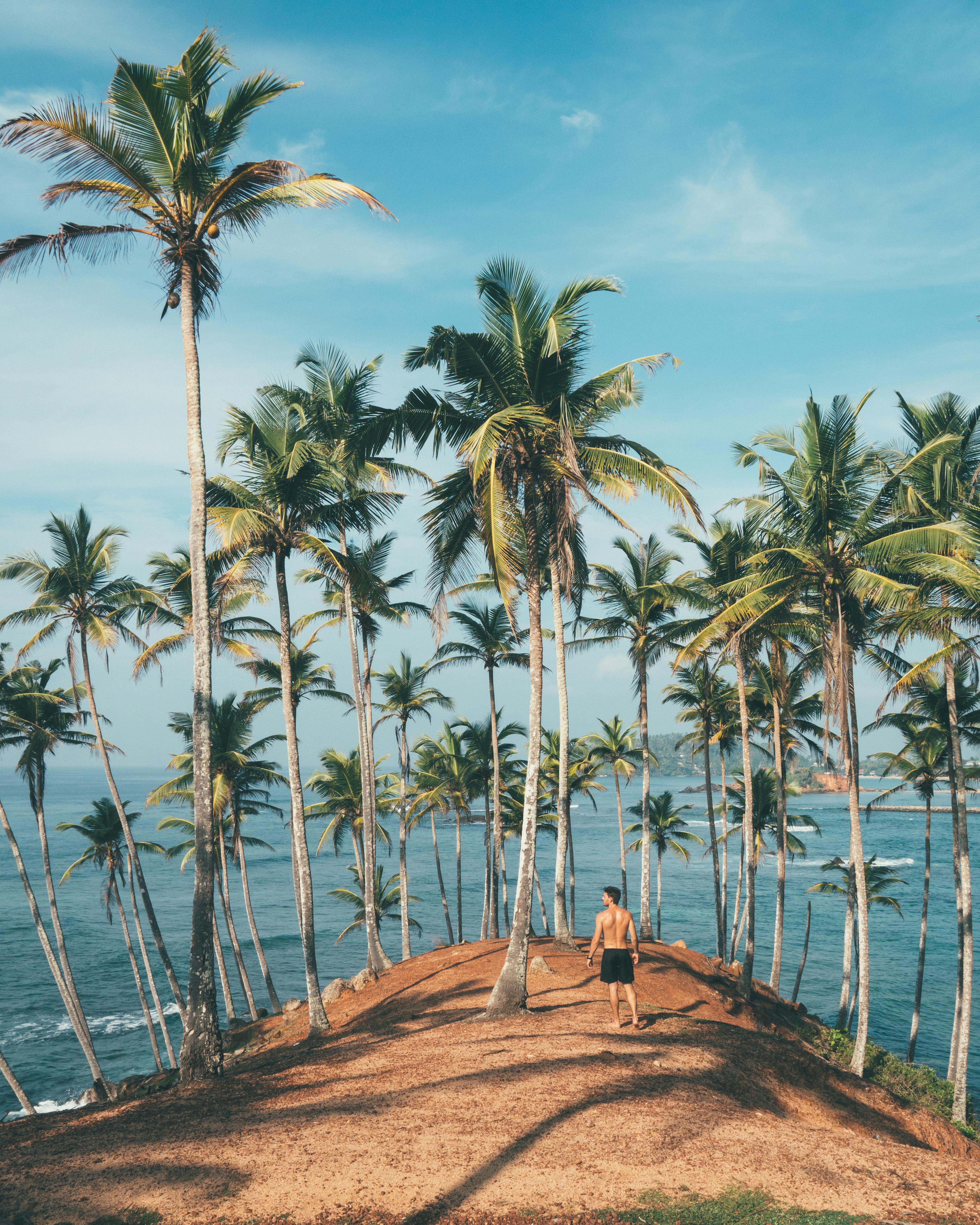 70,000+ Best Beach Pictures · 100% Free Download · Pexels Stock Photos