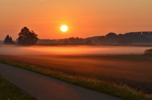 Fog Covering a Field 