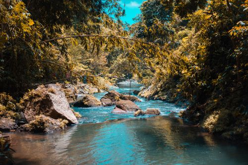 Free Serene stream flowing through lush forest in Sukasada, Bali, Indonesia. Stock Photo