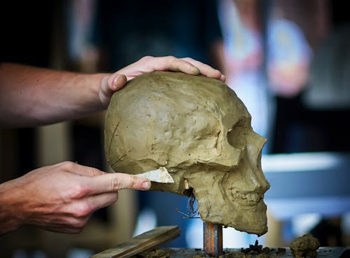 Free 
A Person Sculpting Clay into a Skull Stock Photo