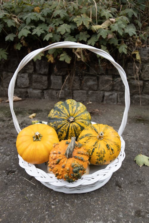 Free A Fresh Pumpkins on a Woven Basket Stock Photo