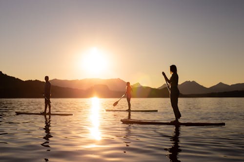Free 
A Silhouette of People Paddleboarding Stock Photo