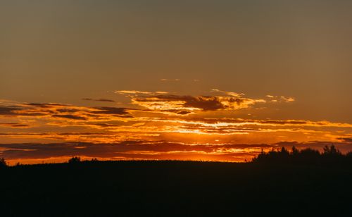 Free A stunning silhouette of trees against a vivid sunset sky. Stock Photo