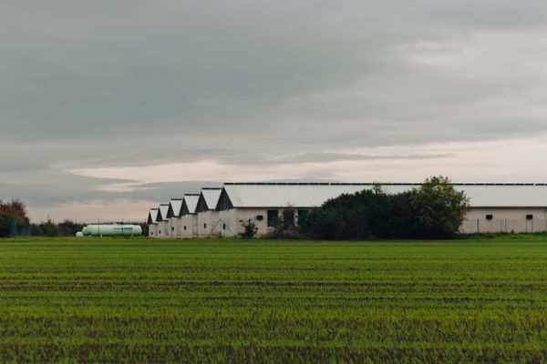 Poultry Farms & Agri Structures